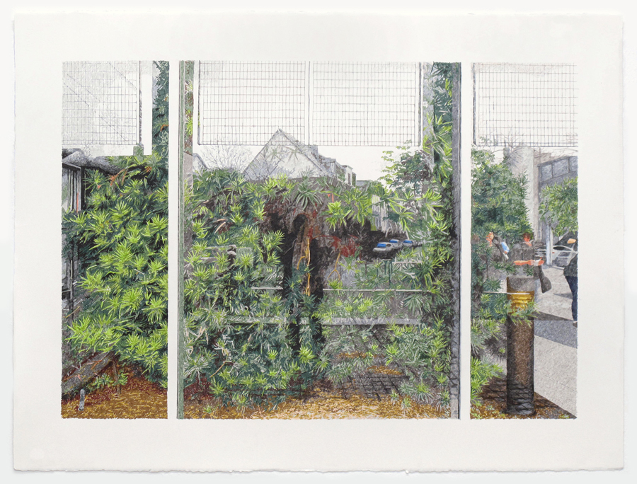 Dschungel (Klinik 2), Tusche, Bleistift auf Büttenpapier, 56 x 76 cm, 2021