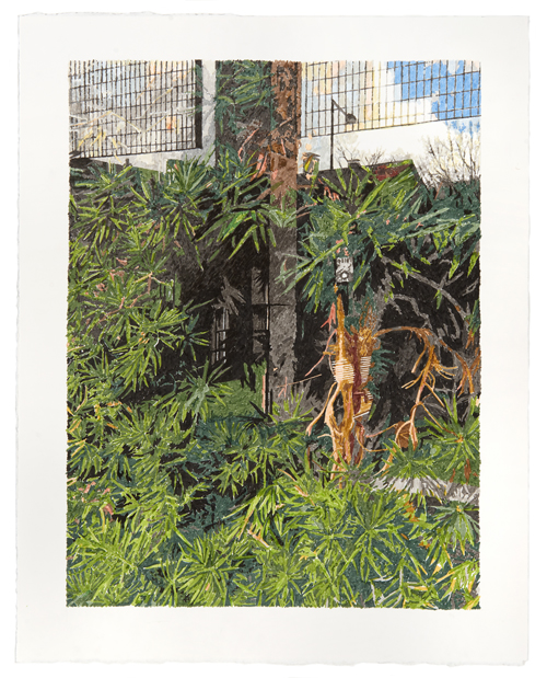 Dschungel (Klinik 1), Tusche auf Büttenpapier, 56 x 38 cm, 2019