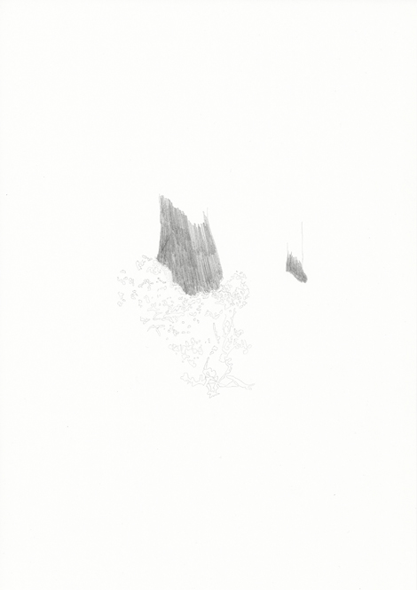Forst #02, Bleistift auf Papier, 29,7 x 21 cm, 2013