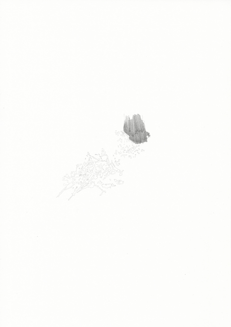 Forst #05, Bleistift auf Papier, 29,7 x 21 cm, 2013