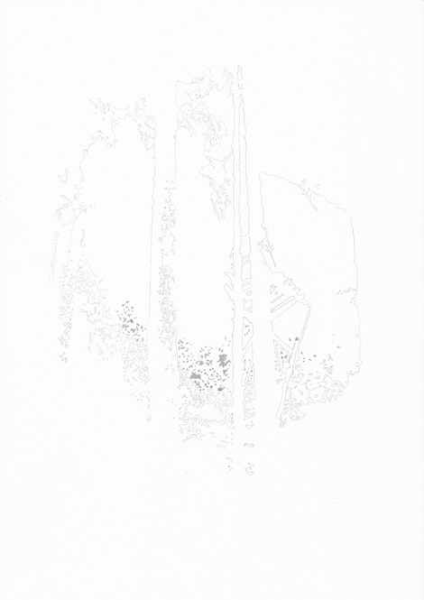 Forst #07, Bleistift auf Papier, 29,7 x 21 cm, 2013