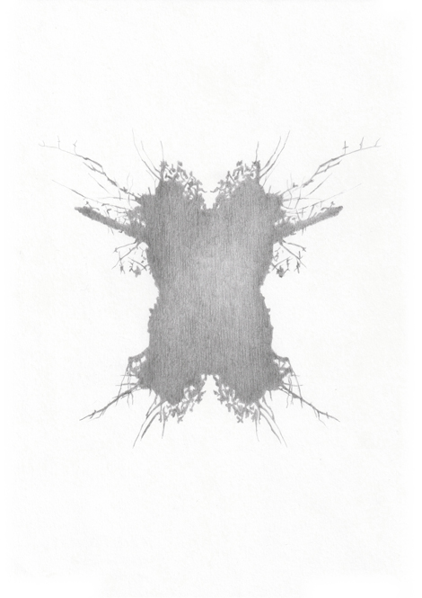 Forst #12, Bleistift auf Papier, 29,7 x 21 cm, 2013